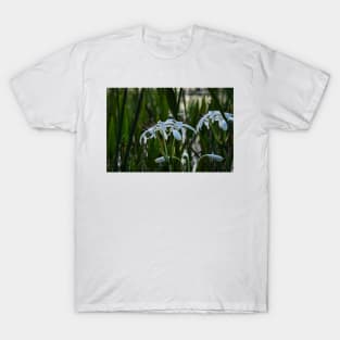 White Flower T-Shirt